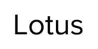 Ремонт стиральных машин Lotus в Лобне